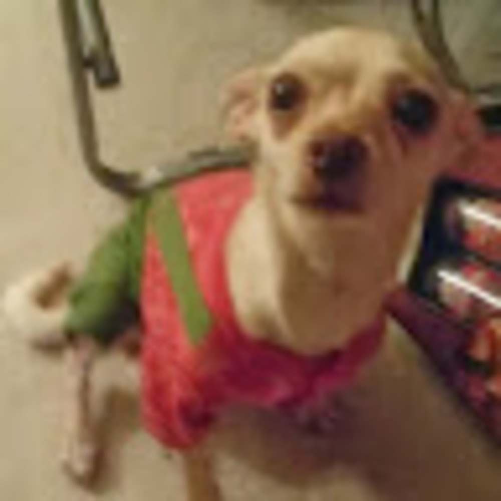 Meet your Posher, Beverly